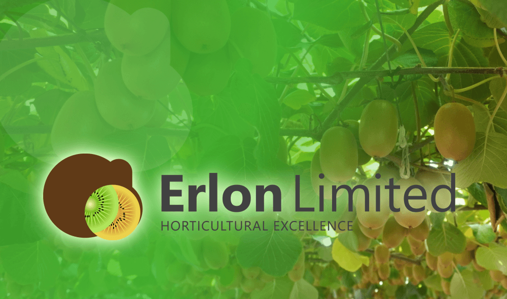 Erlon Limited
